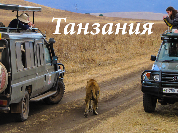 танзания