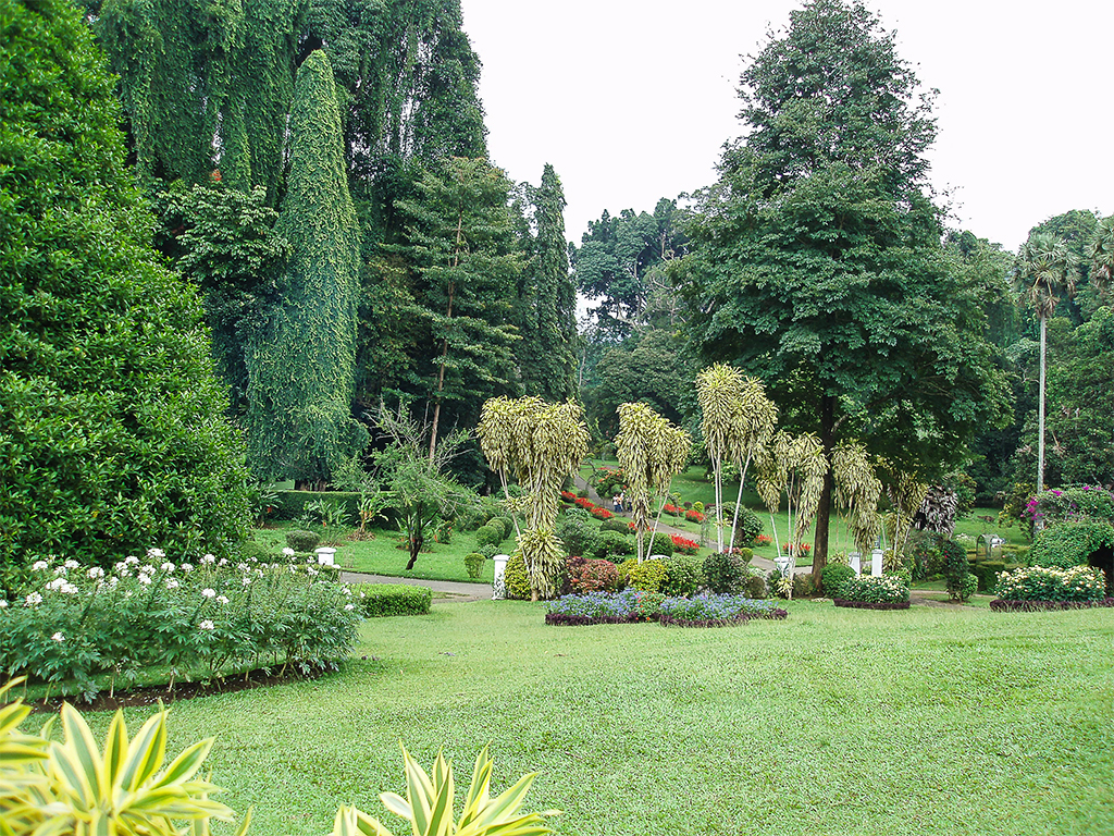 Королевский-ботанический-сад1
