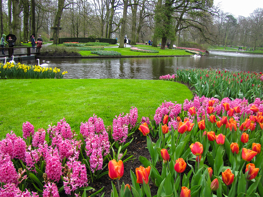 парк-цветов-нидерланды3