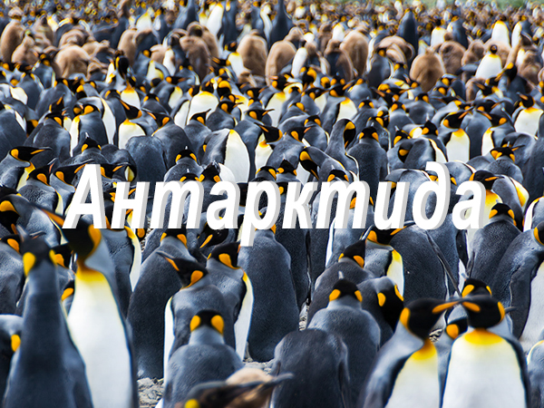 антарктида