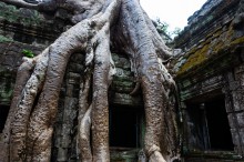 Камбоджа-Ангкор-6